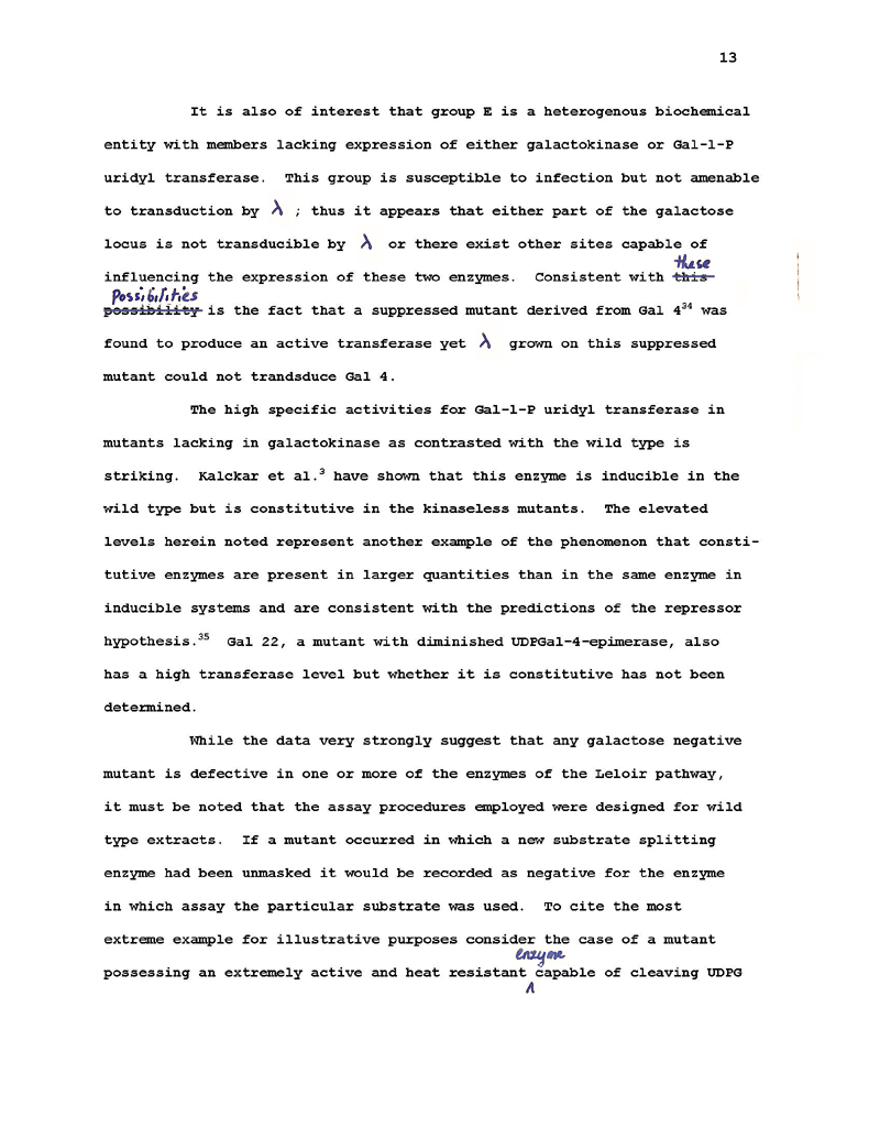 Soffer First Draft Recreated p13